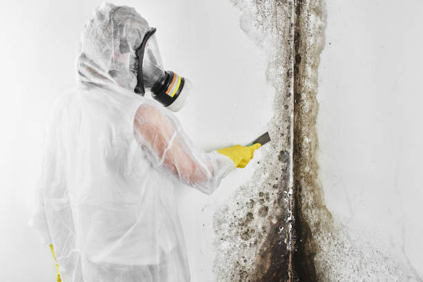 Water damage restoration mold remediation in Boonton, NJ